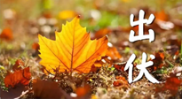 【三伏養(yǎng)生】出伏后做好養(yǎng)生很關(guān)鍵！一行要注意！