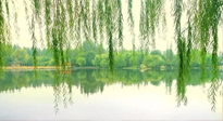 【養(yǎng)生知識】已入五九，六九將至，五九的養(yǎng)生秘訣，你知道嗎？