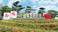 【行業(yè)資訊】南陽(yáng)一個(gè)值得三顧的地方！“丹江水”“仙草艾”成為 “南陽(yáng)禮物”新爆款！