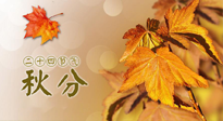 【二十四節(jié)氣灸】秋分節(jié)氣，平衡陰陽，巧用艾灸，潤燥養(yǎng)肺是關鍵！