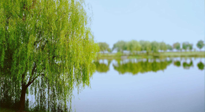 【艾灸知識】春三月，必艾灸穴位：疏肝理氣，養(yǎng)血調(diào)神！