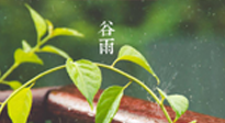 【二十四節(jié)氣灸】谷雨節(jié)氣脾土濕，艾灸降濕濁，脾旺不受邪！