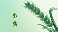 【二十四節(jié)氣灸】小滿節(jié)氣記得艾灸，悠悠長夏，健康度過！