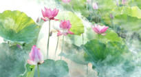 【養(yǎng)生知識】花開半夏，夏至養(yǎng)生，這些知識一定要牢記！