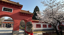 【行業(yè)資訊】新華財經(jīng)：守正創(chuàng)新，中醫(yī)藥品牌化發(fā)展“更上一層樓”！