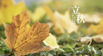 【節(jié)氣養(yǎng)生】甲辰立秋，“2做”、“2不做”，護(hù)好我們身體的正氣，預(yù)防外邪的侵襲！